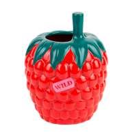 Ваза для цветов raspberry, 20 см DOIY DYVASFMRA