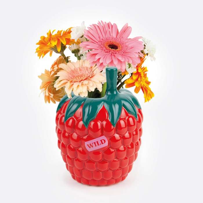 Ваза для цветов raspberry, 20 см DOIY DYVASFMRA