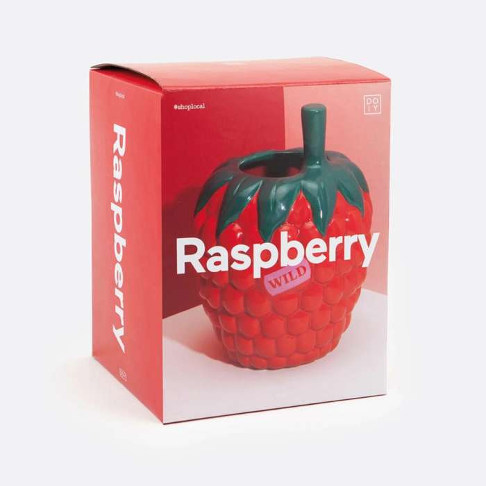 Ваза для цветов raspberry, 20 см DOIY DYVASFMRA