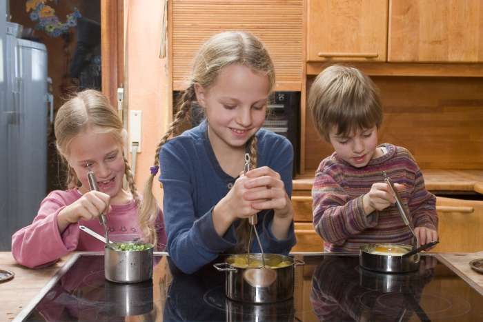 Пресс для пюре Weis Mini 19х6,5х2см, сталь нержавеющая W-13852