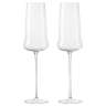 Набор бокалов для шампанского в подарочной упаковке sense, 360 мл, 2 шт. Liberty Jones LJ0000409