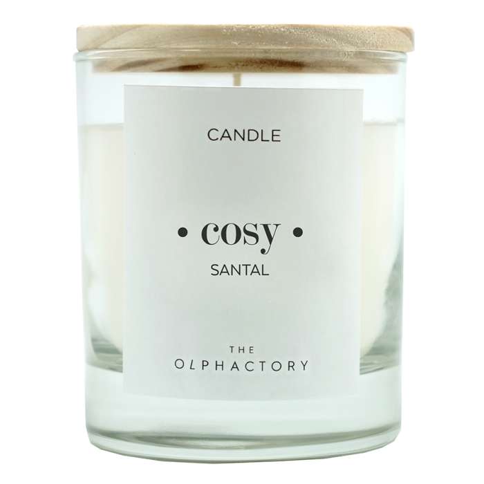 Свеча ароматическая the olphactory, cosy, santal, 40 ч Ambientair VV401SATO