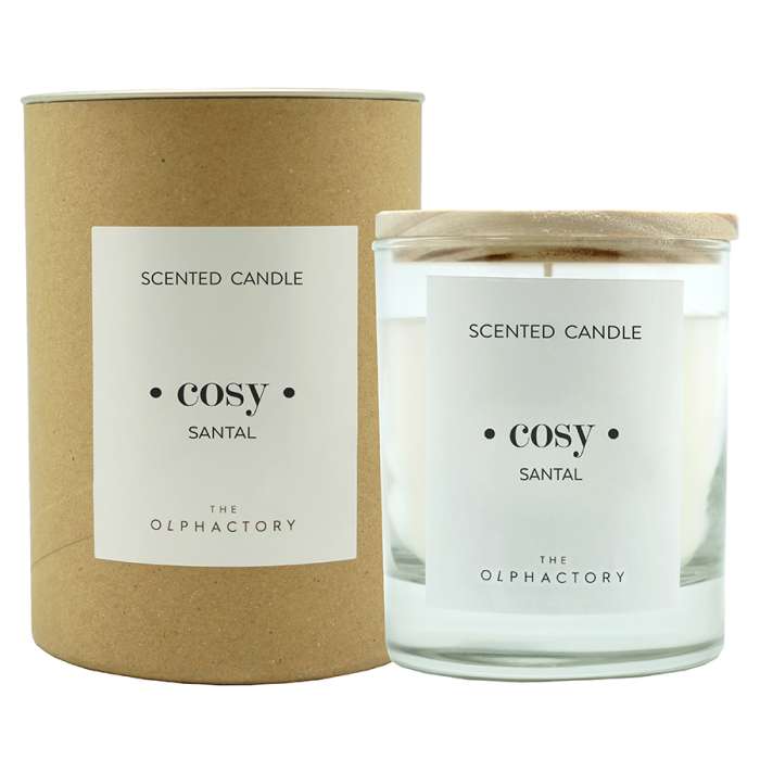 Свеча ароматическая the olphactory, cosy, santal, 40 ч Ambientair VV401SATO