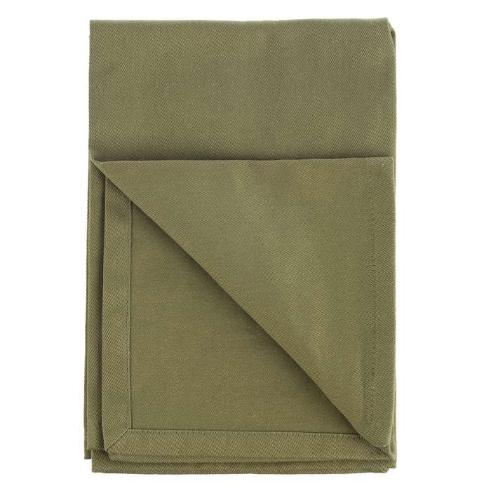 Набор из двух салфеток сервировочных из хлопка оливкового цвета из коллекции Essential, 45х45 см TKANO TK22-NA0005