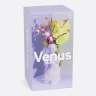 Ваза для цветов venus, 31 см, лиловая DOIY DYVASEVELI