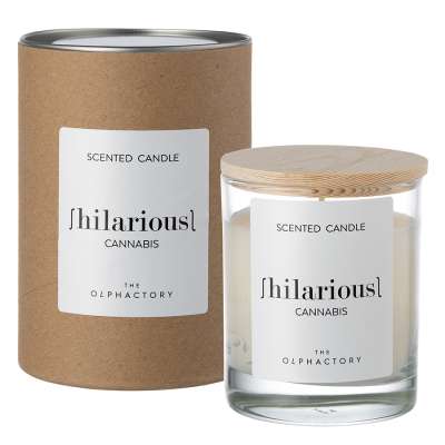 Свеча ароматическая the olphactory, hilarious, cannabis, 40 ч Ambientair VV401CBTO