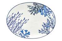 Блюдо, 40х30 см, керамика К, белое, овальное, Синие кораллы, Blue Coral, Maxwell & Williams, MW696-DR0578