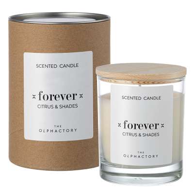 Свеча ароматическая the olphactory, forever, citrus&amp;shades, 40 ч Ambientair VV401CHTO