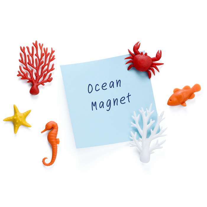 Набор магнитов ocean, 6 шт. QUALY QL10337-MX