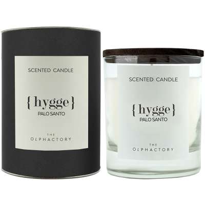 Свеча ароматическая the olphactory, hygge, palo santo, 40 ч Ambientair VV401PSBTO