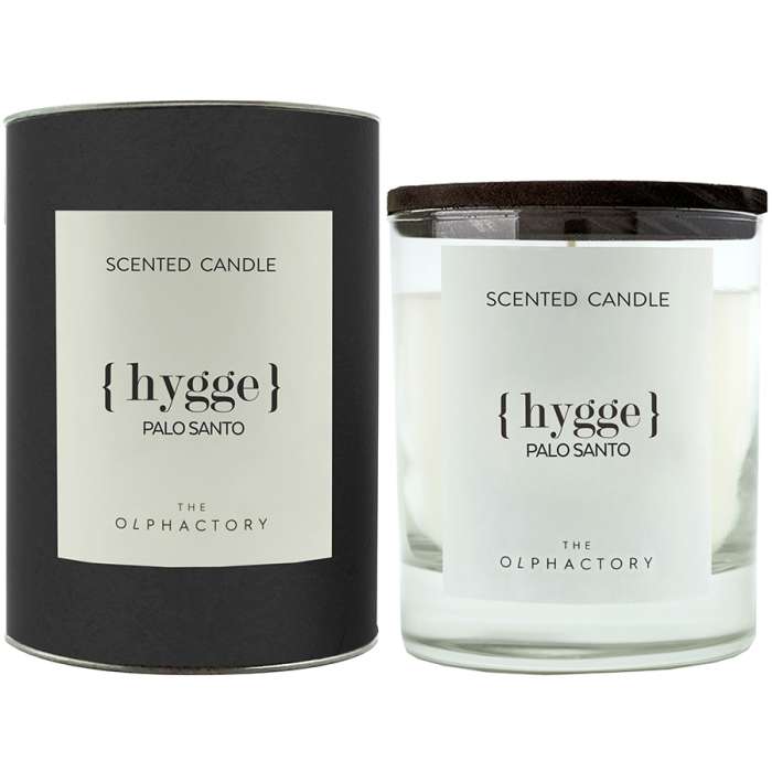 Свеча ароматическая the olphactory, hygge, palo santo, 40 ч Ambientair VV401PSBTO