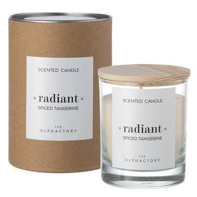 Свеча ароматическая the olphactory, radiant, spiced tangerine, 40 ч Ambientair VV401STTO