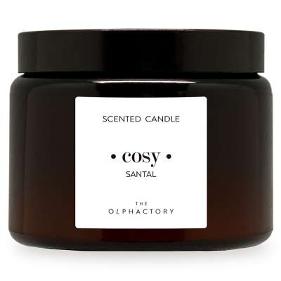 Свеча ароматическая the olphactory, cozy, santal, 60 ч Ambientair VV360SATO