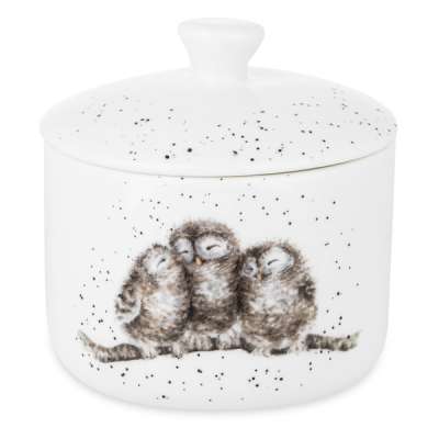 Банка для хранения с крышкой Royal Worcester Забавная фауна Совы 9,5х10 см, фарфор костяной