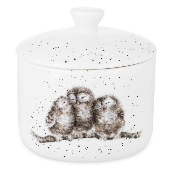 Банка для хранения с крышкой Royal Worcester Забавная фауна Совы 9,5х10 см, фарфор костяной