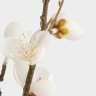 Ветка декоративная, 80 см, полиэстер/металл, Белые цветы, Interior spring ANNA LAFARG ANLAF-EY-J38524-F0001