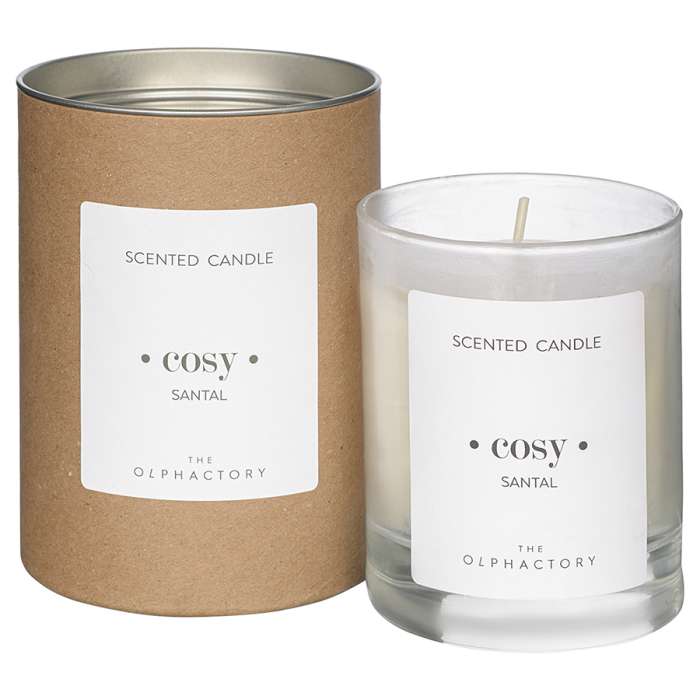 Свеча ароматическая the olphactory, cosy, santal (новая), 40 ч Ambientair VV401SATO_new