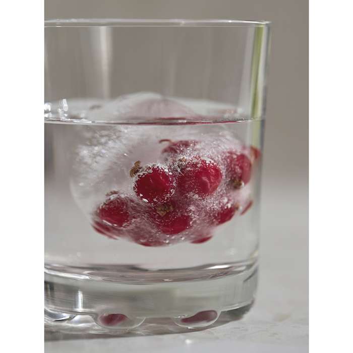Форма для льда freeze Smart Solutions SS000087