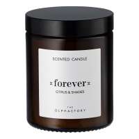 Свеча ароматическая the olphactory, forever, citrus&shades, 30 ч Ambientair VV135CHTO