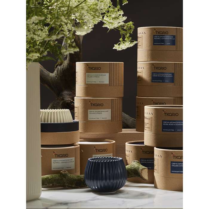 Свеча ароматическая Secret Santa из коллекции Edge, синий, 30 ч TKANO TK23-ARO0010