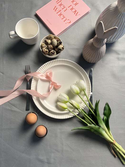 Набор из двух тарелок белого цвета из коллекции kitchen spirit, 26 см Tkano TK22-TW_PL0004