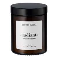 Свеча ароматическая the olphactory, radiant, spiced tangerine, 30 ч Ambientair VV135STTO