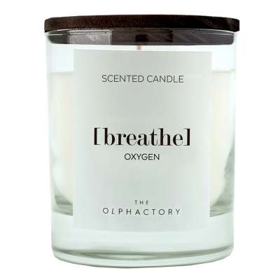 Свеча ароматическая the olphactory, breathe black, Кислород, 40 ч Ambientair VV402OXBTO