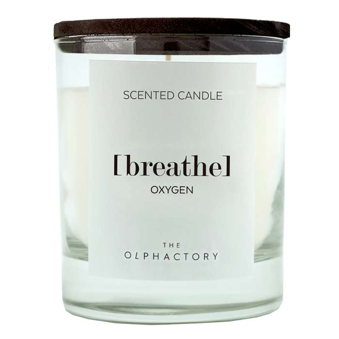 Свеча ароматическая the olphactory, breathe black, Кислород, 40 ч Ambientair VV402OXBTO