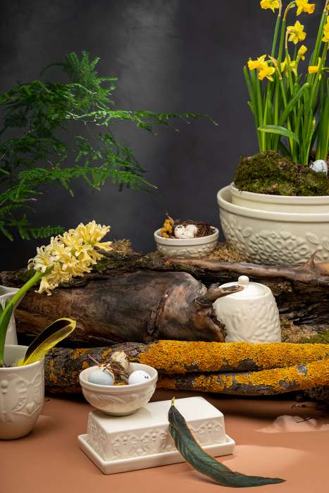 Масленка birds of paradise, кремовая Liberty Jones CZ-LJ-BD-CR