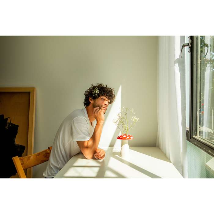 Ваза для цветов amanita, 19 см DOIY DYVASAMLRE