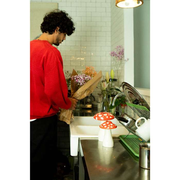 Ваза для цветов amanita, 19 см DOIY DYVASAMLRE