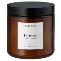 Свеча ароматическая the olphactory, forever, citrus&shades, 60 ч Ambientair VV360CHTO