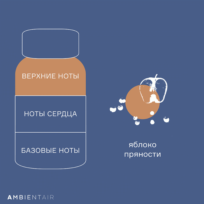 Диффузор ароматический gifting, caramel&apple, 100 мл Ambientair MK100MDTO