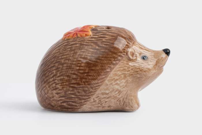 Емкость для соли или перца, 5 см, керамика, коричневая, Еж с листом, Autumn forest ANNA LAFARG ANLAF-FDWS-031224-15